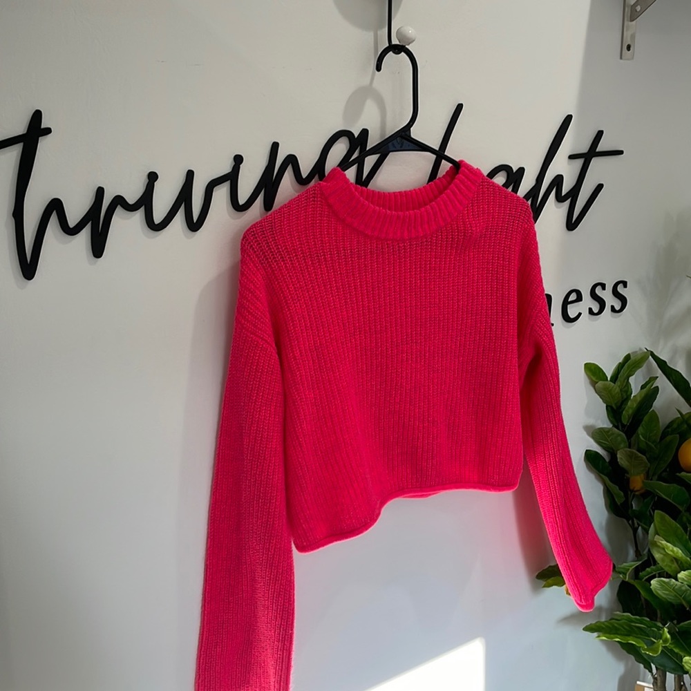 NWOT Crop Top Sweater